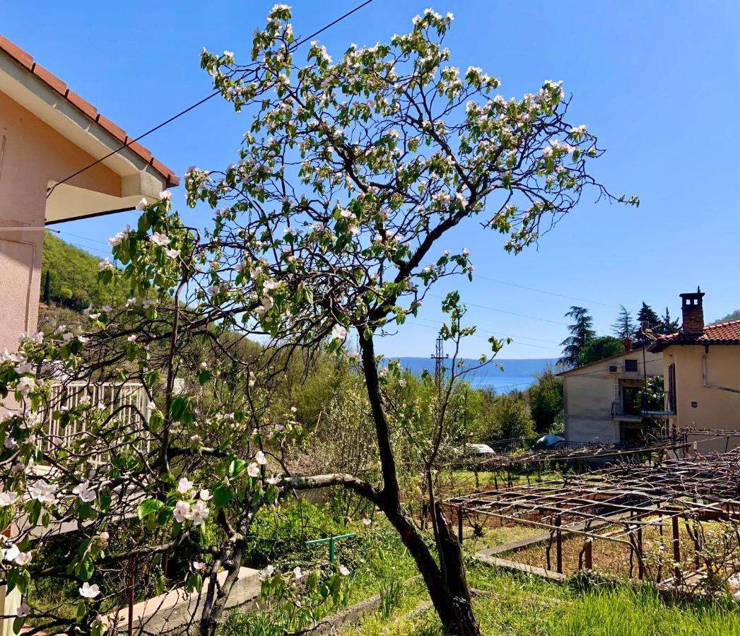 Villa Flamingo Мощеничка-Драга Экстерьер фото